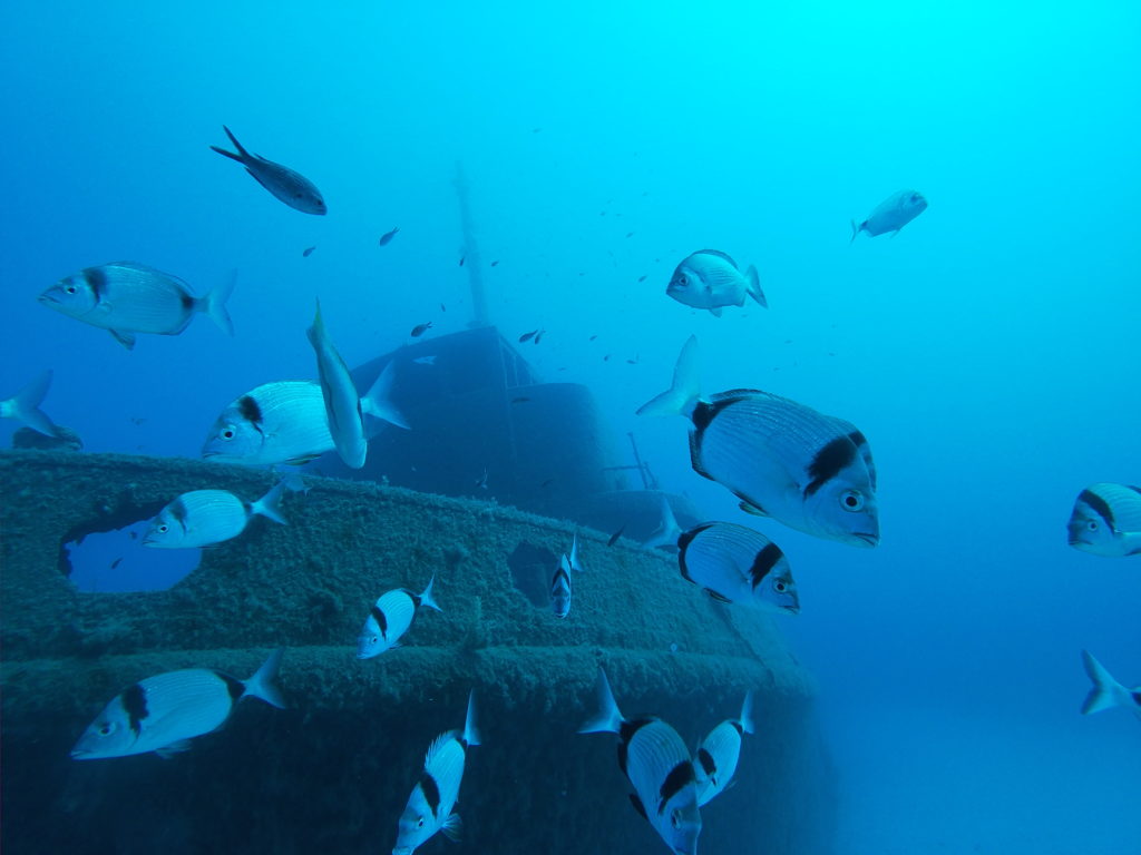 La PROMO formation Advanced permet de plonger sur le Rozi et les autres fabuleuses épaves de Malte