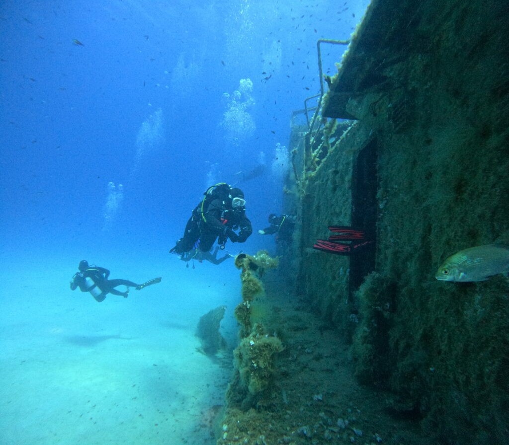 Plongée formation react right