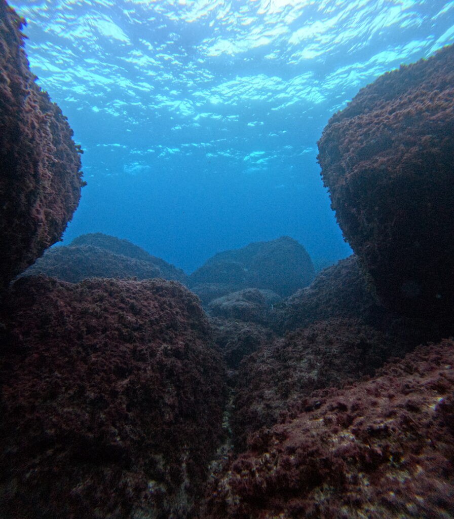 Roches immenses recouvertes de corail