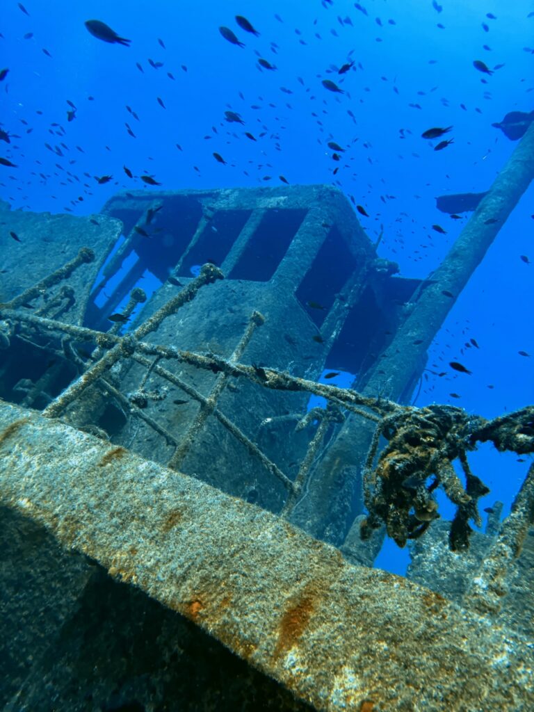 Photo de l'épave entourée de poissons