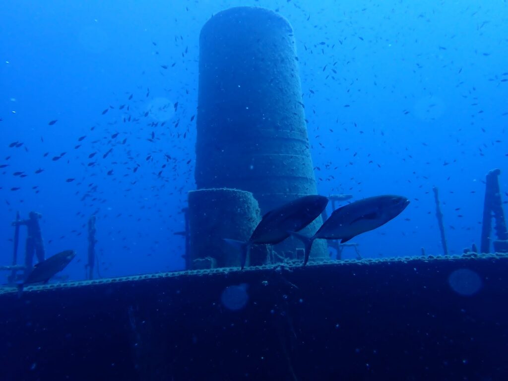 Photo de poissons qui passent devant les cheminées de l'épave