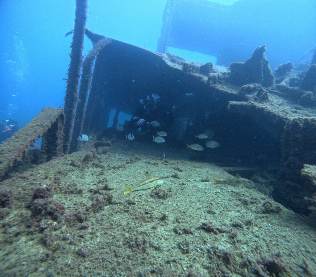 Photo d'une partie de l'épave