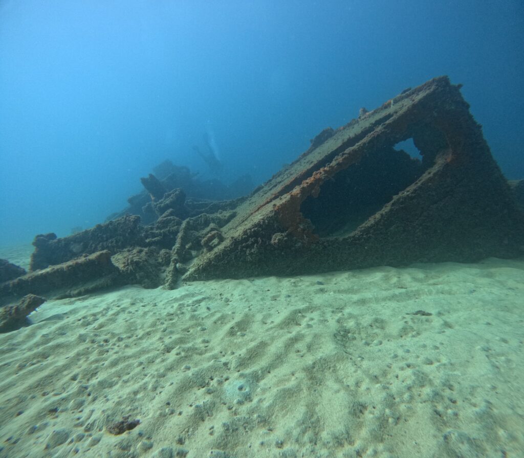 Photo d'une partie du Maori