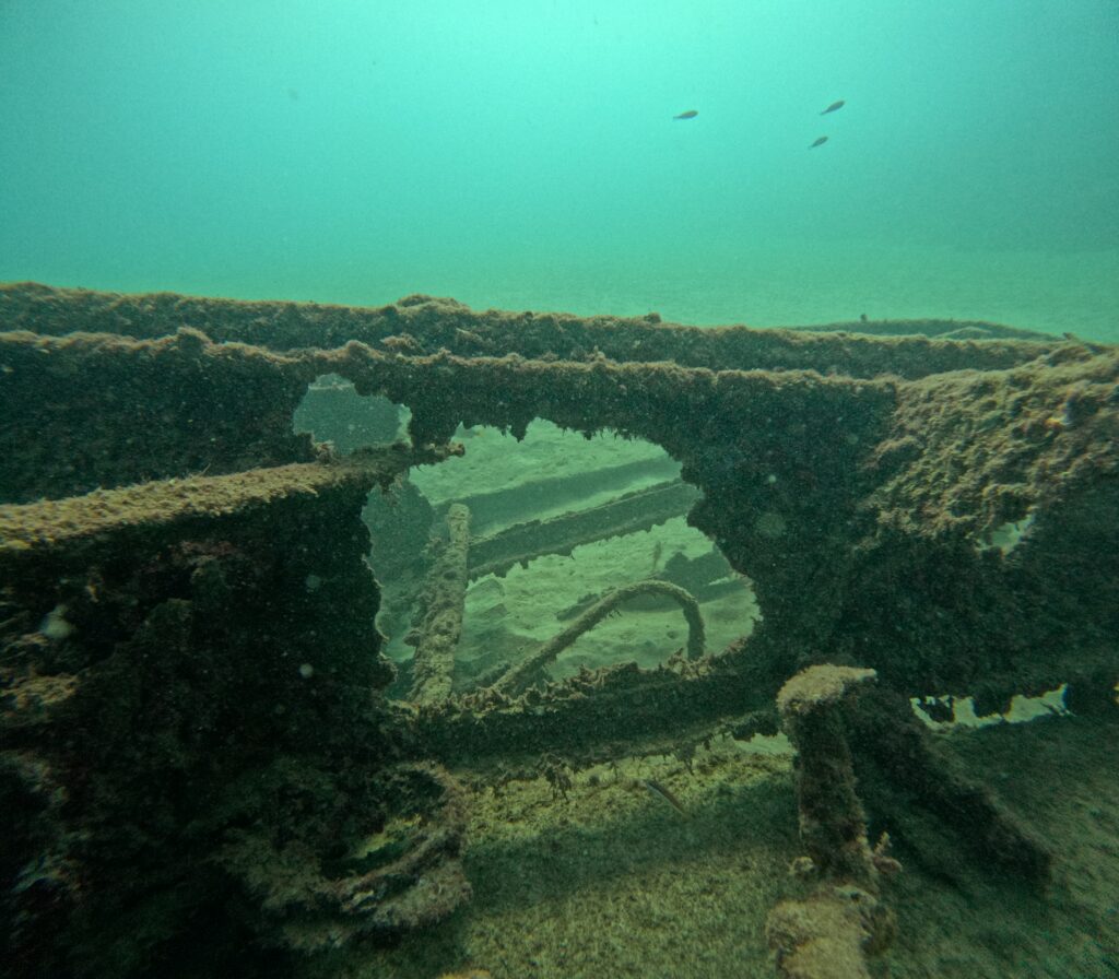 Photo d'une partie de l'épave du Maori recouverte d'algues