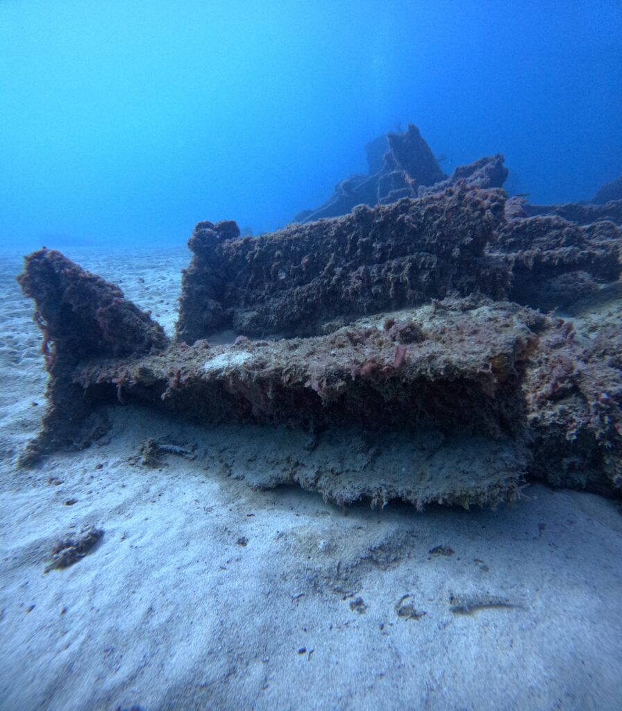 Photo d'une partie de l'épave du Maori recouverte d'algues