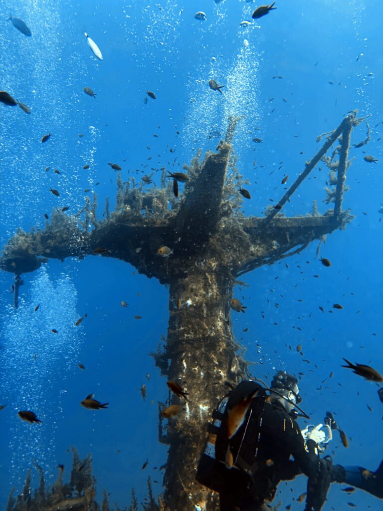 Photo d'un plongeur proche de la mitraillette du P29