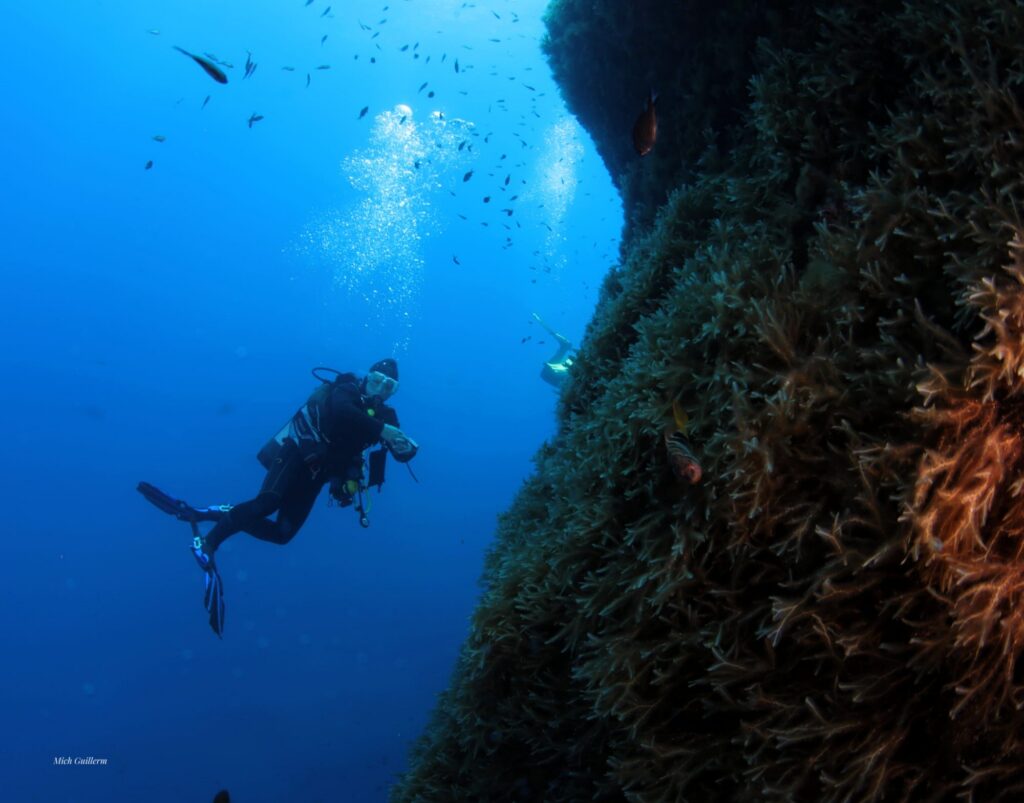 Photo du tombant à proximité de l'arche