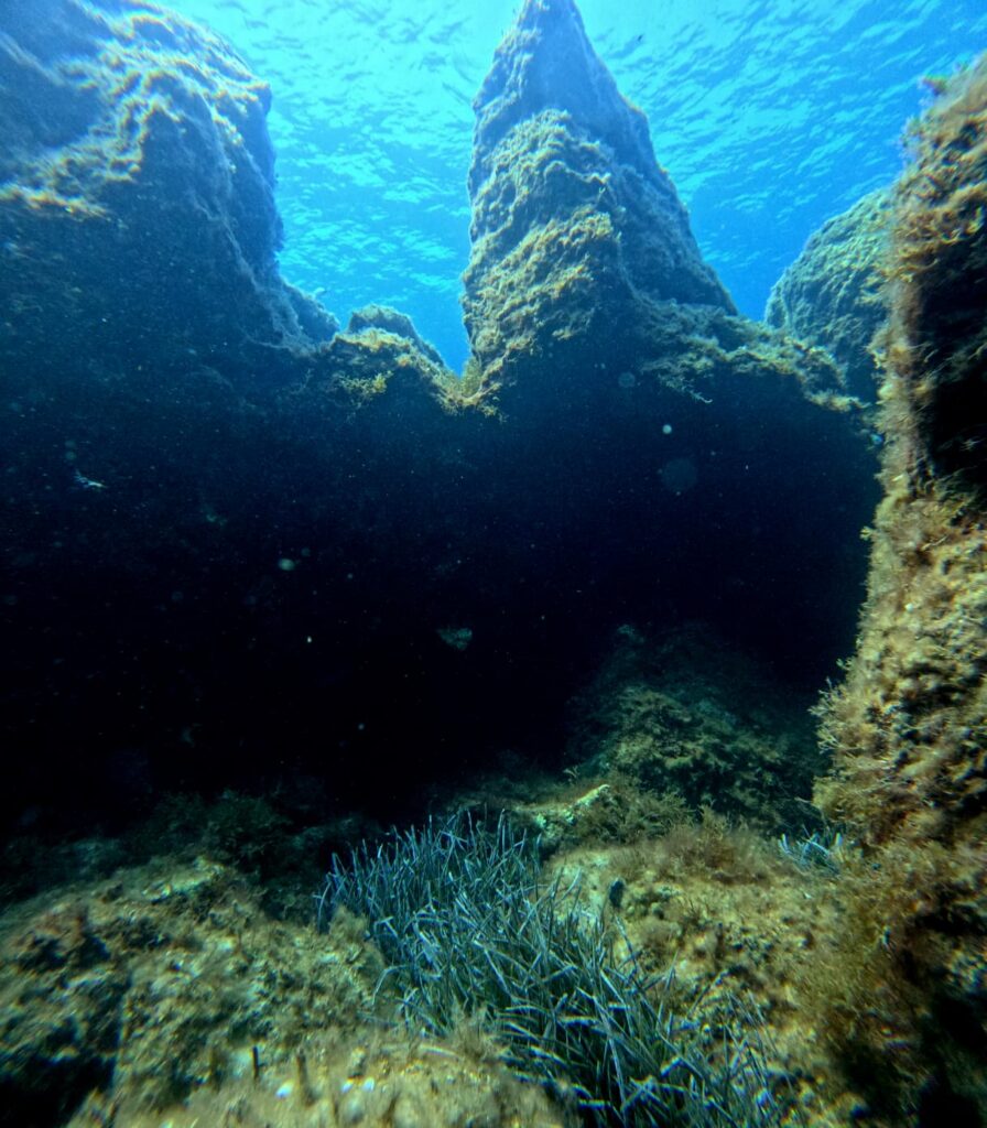 Photo du récif de Ghar Lapsi
