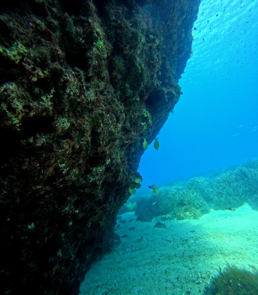 Photo du récif de Ghar Lapsi