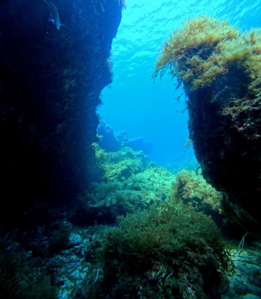 Photo du récif de Ghar Lapsi