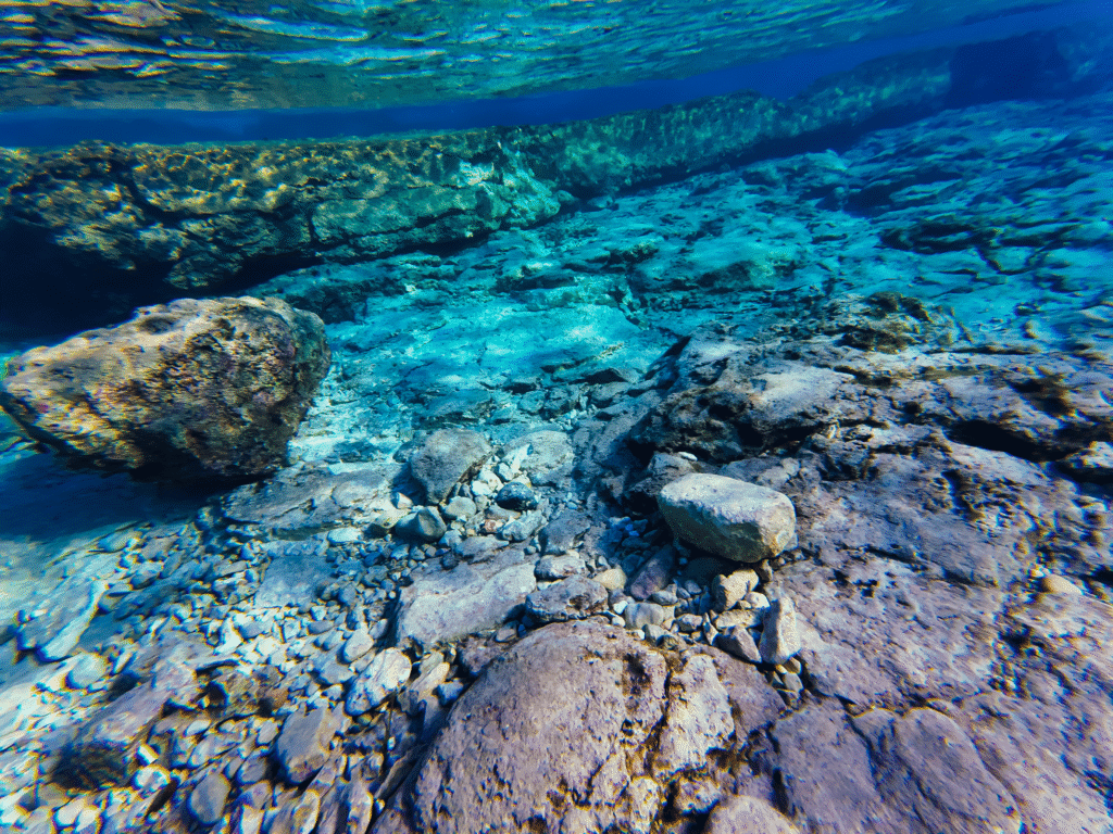 Photo d'un des meilleurs sites de plongée