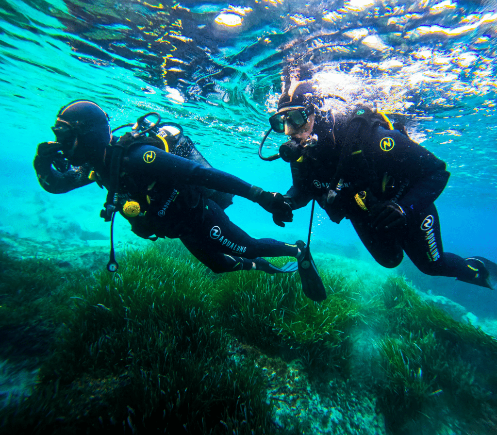 Deux plongeurs débutants en découverte