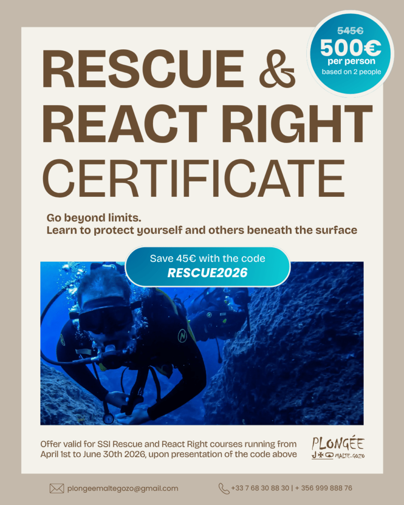 Planche promotion Rescue + React right 2026