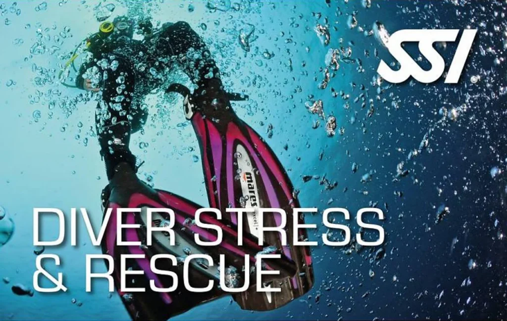 Carte SSI de la formation Diver Stress and Rescue