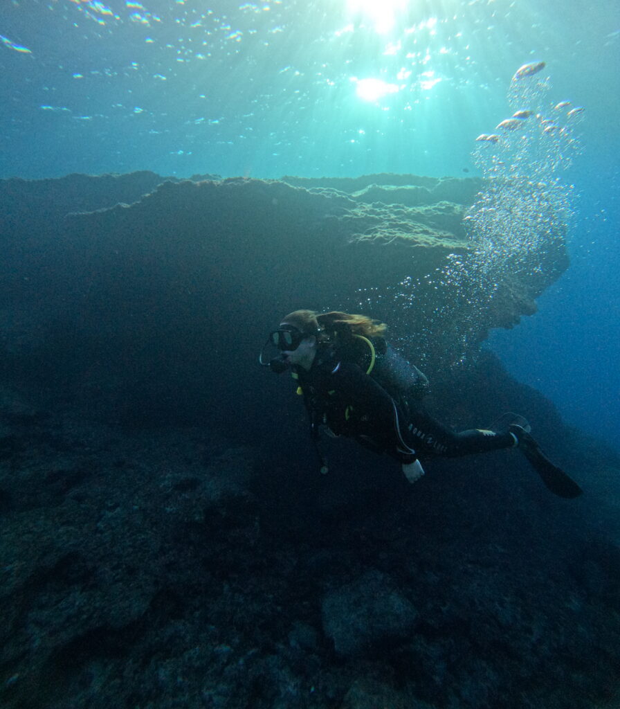 plongée découverte personnalisée